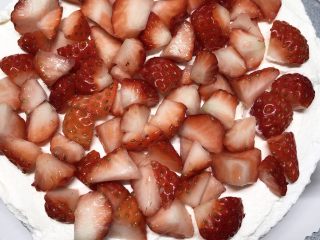 草莓蛋糕,一层坯子先抹点奶油，加入草莓碎，再抹上奶油，如此重复第二次
