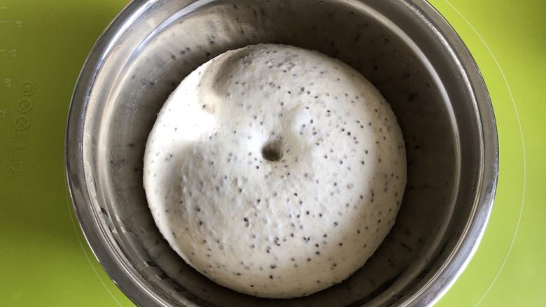 奇亚籽蜜豆燕麦欧包,1小时后，面团发酵到原来的2倍大小，可以用手蘸一点面粉戳一下，检查一下面团不回缩即可