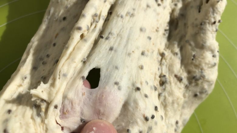 奇亚籽蜜豆燕麦欧包,直到面团可以拉出膜去，膜会破但是边缘是光滑的状态即可