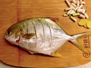 红烧金鲳鱼,鱼身上横切几刀。
因为肉质肥厚，不容易熟透。