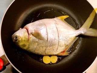 红烧金鲳鱼,放入鲳鱼。先单面煎一会儿。