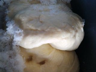 中种醇奶吐司,发酵好的中种取出，投入面包机，再加入主面团原料。