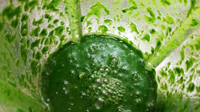 绿油油的菠菜春饼,放入破壁机加入一小碗清水打成汁