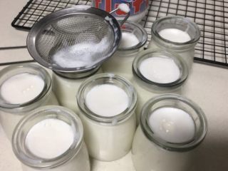 自制酸奶,混合均匀的牛奶装在玻璃瓶里。