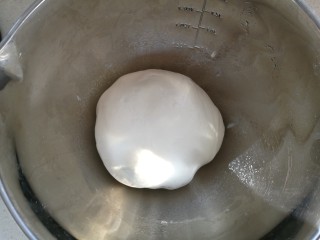 洋葱猪肉包,一个和面程序后，把面团放入料理盆中进行发酵