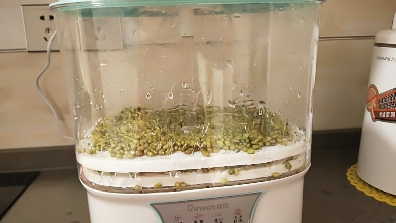 绿色食品\在家就能涨豆芽\香辣凉拌绿豆芽,安装好按生绿豆芽键。