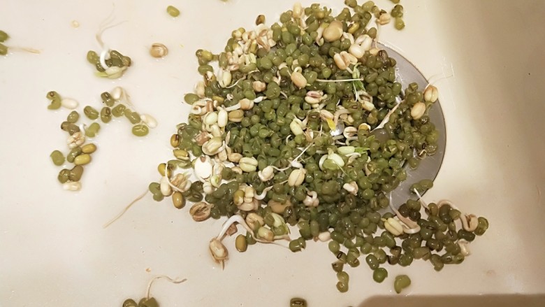 绿色食品\在家就能涨豆芽\香辣凉拌绿豆芽,主要是把皮洗出去。