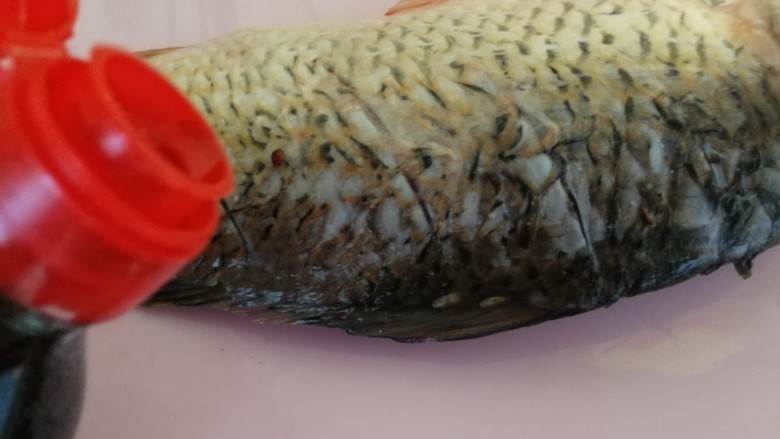 年夜菜_麻辣清蒸江鲫鱼&一锅两吃,把香油分别正反两面抹到鱼身上（如图）。
