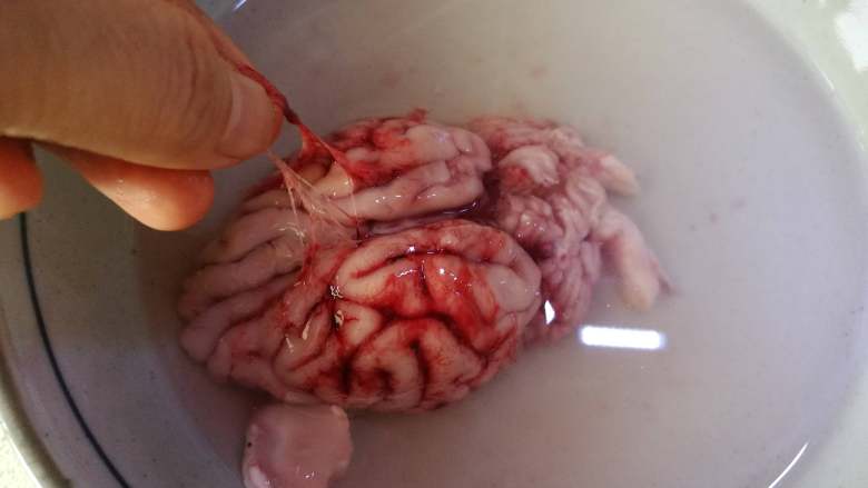 天麻炖猪脑,用手轻柔的挑起红色筋膜。