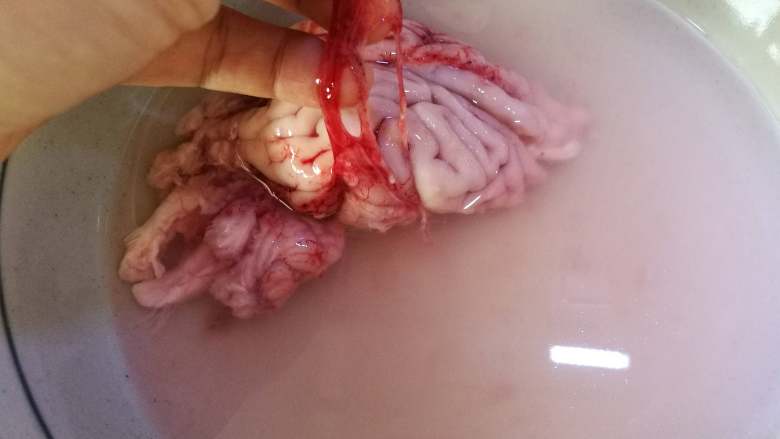 天麻炖猪脑,扯住红色筋膜往上撕，就可以非常轻松地将红色筋膜分离开来。
