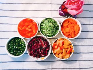 多彩迷你饺子,将蔬菜洗净后，韭菜切丁，芹菜切段，番茄、南瓜、胡萝卜切块，甘蓝切条。