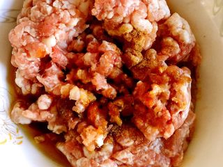 多彩迷你饺子,将猪肉剁碎，加入包子饺子调味料、蚝油、酱油和盐。