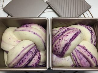 紫薯水立方吐司,二发至8分满，表面刷蛋液