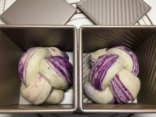 紫薯水立方吐司,头尾翻向背面捏紧，放入水立方吐司盒，做好另外一个