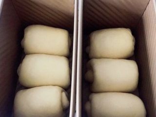 奶油吐司（波兰种）,放进吐司盒里，用烤箱的发酵功能进行最后的发酵，烤箱里放一碗热水保证湿度。