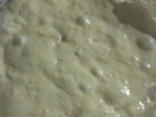 奶油吐司（波兰种）,先来制作波兰酵头：先把水和酵母融化混合后加入高筋面粉，混合均匀放在室温发酵。
