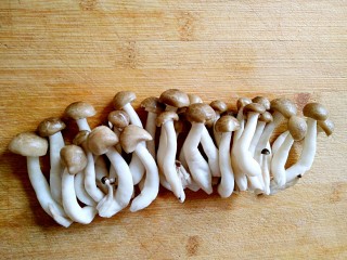 采鸡翅的小蘑菇（无油版）,蟹味菇，去根，洗净备用。