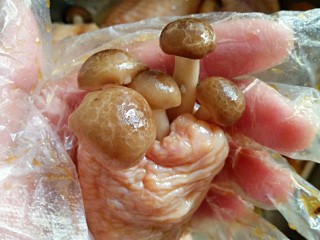 采鸡翅的小蘑菇（无油版）,待鸡翅腌到45分钟后（也可腌的时间长一点）把洗净的蟹味菇塞进拆骨的鸡翅中里面。