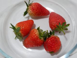宝宝辅食—草莓藕粉糕,草莓放入容器