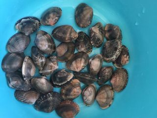 彩椒花蛤,买花蛤让店家装点海水，装袋子里让它在海水中吐沙子，半天后洗净。
