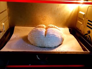 乡村面包+无油无糖版,烤箱预热至180度，烤盘送入烤箱烤制。