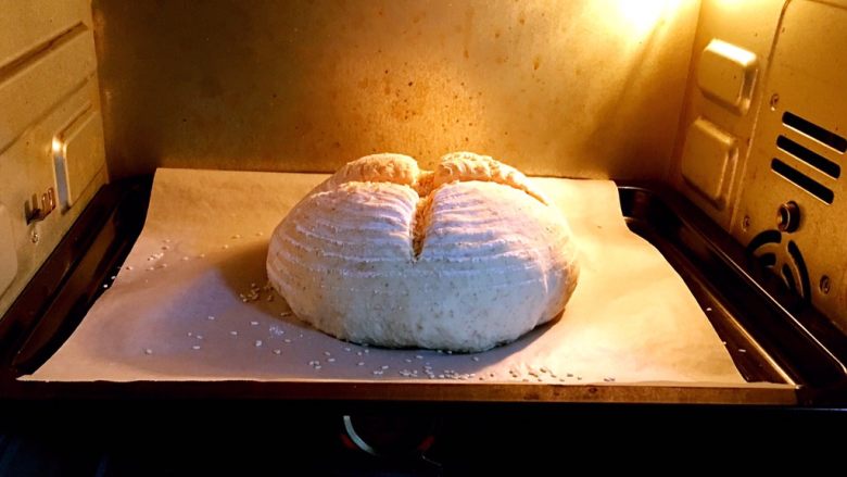 乡村面包+无油无糖版,烤箱预热至180度，烤盘送入烤箱烤制。