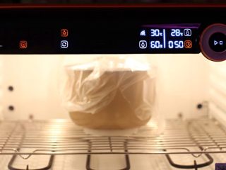 南瓜麻薯红豆面包,面团入盆上覆保鲜膜，醒发箱28度，湿度60%第一次发酵50分钟。