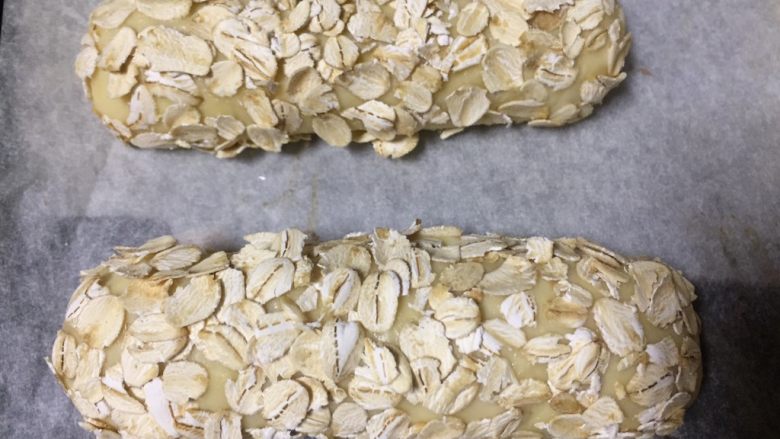 海参燕麦面包,面包胚表面已经沾满了燕麦片，放在温暖的地方发酵