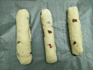 免揉蔓越莓面包,放在垫有油纸的烤盘上，盖湿布发酵到原来的1.5倍大(一小时以上)。面团之间要留有足够的空间避免发酵涨大后粘连在一起。