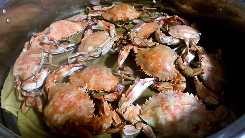 清蒸花盖蟹,鲜红的花盖蟹在开锅的一瞬间满屋都飘香着鲜美的味道