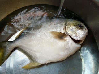 秘制红烧鲳鱼,鲳鱼一条里里外外清洗干净