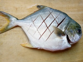 秘制红烧鲳鱼,反方向又斜切几刀，两面都要切，烹饪时更容易入味，切好如图片上。