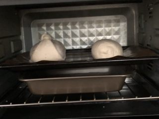 五谷桂圆软欧,没有发酵箱只能放烤箱，放一盘开水制造温度湿度，15分钟换一次水，发酵60分钟左右至两倍大即可