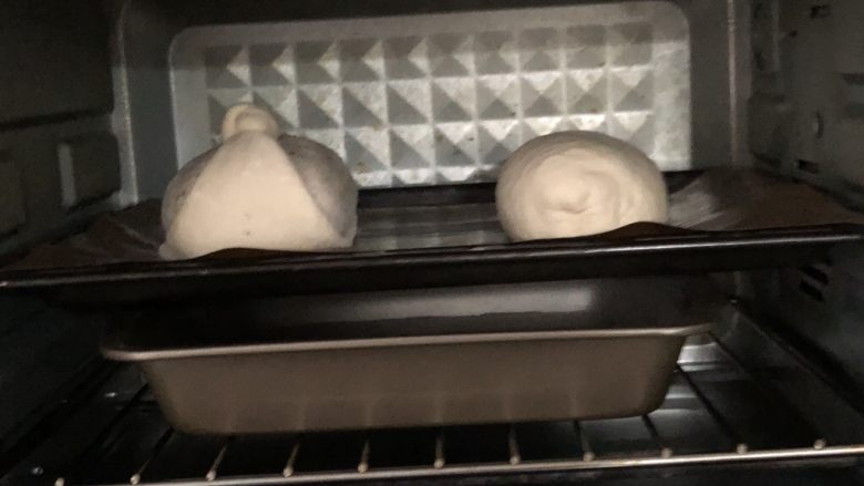 五谷桂圆软欧,没有发酵箱只能放烤箱，放一盘开水制造温度湿度，15分钟换一次水，发酵60分钟左右至两倍大即可
