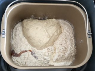五谷桂圆软欧,放入高粉，全麦粉，麦芽精和酵母种面团
先慢速搅匀，再正常搅打