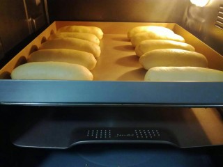 葱香芝士排包,送入烤箱38度，发酵45分钟左右。烤箱内放入一碗温水，有助于提升烤箱湿度。