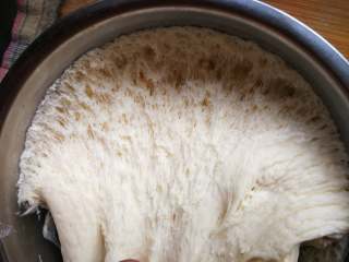 花样馒头-熊猫馒头,发酵好的面团，面团内部组织有明显孔洞
