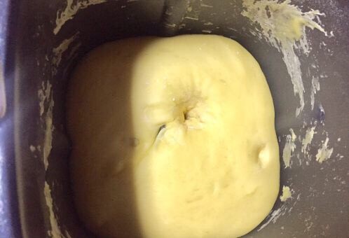 蛋奶椰蓉蔓越莓软吐司,面包机启动自动发面可能显示发酵时间为90分钟，时间到后用手指沾面粉再面团上戳一小洞，不反弹不回缩即发酵成功
