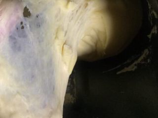 蛋奶椰蓉蔓越莓软吐司,第二次和面程序结束，面团已经达到扩展阶段，可以拉出手膜状态