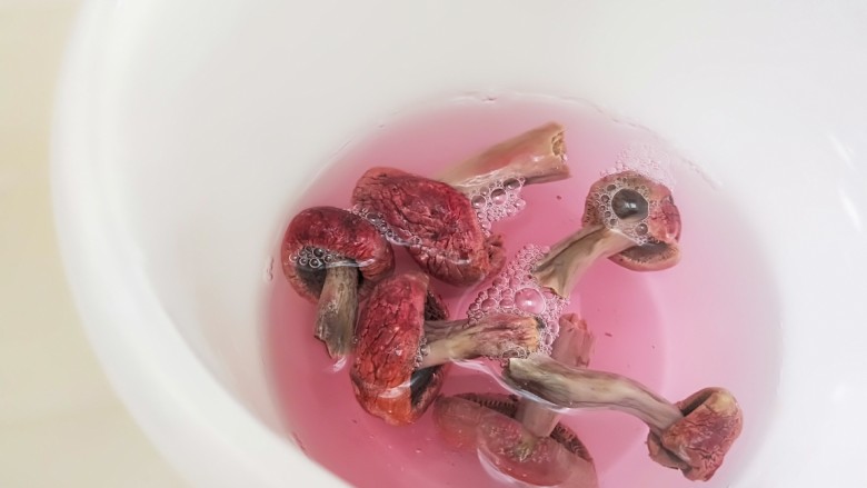 清蒸红菇排骨汤,红菇可以接着泡着。