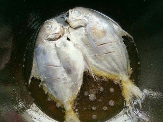 年年有鱼:香煎柠檬鱼,锅里放油，油热后放入鱼煎