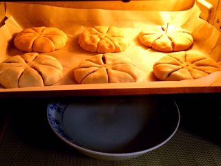 花色豆沙面包+一次发酵,烤箱发酵档，底部放一碗热水。