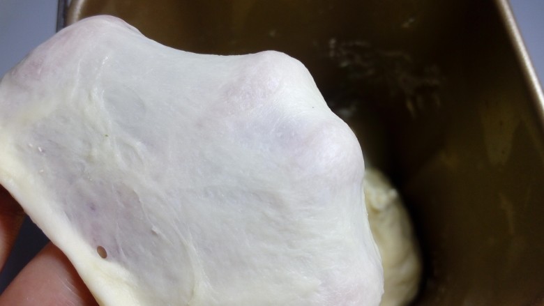 炼奶辫子面包,启动揉面程序，揉至可以拉出大片厚膜的状态。