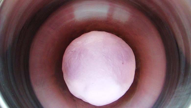 紫薯葡萄干欧包,和成光滑的面团，盖上保鲜膜放置温暖处，发酵至两倍大（时长约90分钟）。