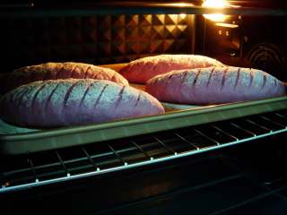 紫薯葡萄干欧包,烤箱提前预热：上185度，下175度，放中层烤30分钟。