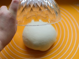 如意豆沙包,再用手揉匀，盖上大碗，室温发酵到原面团的二倍大