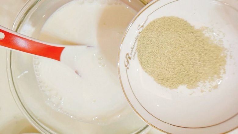 牛奶夹糖白馒头,加酵母，稍微搅动，现在气温还较低，静置10-15分钟，让酵母活化。