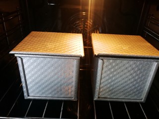马斯卡彭炼奶双色土司,盖上盖子，放进预热好的烤箱里面，中层，上下火175度烤制30分钟左右