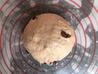 蔓越莓巧克力软欧,收圆面团，放入盆中，盖上保鲜膜在温暖处进行基础发酵