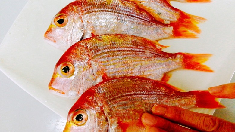 香煎金丝鱼,用手轻轻将盐均匀的涂抹在鱼身上